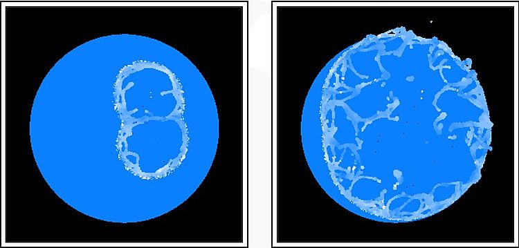 RealFlow ���g�̳�֮&mdash;&mdash;���ѵķ�����(-) - ��ѿ�� - ��ѿ�������