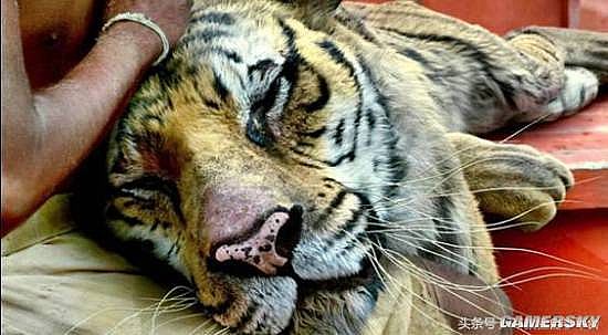 �����ǿ�