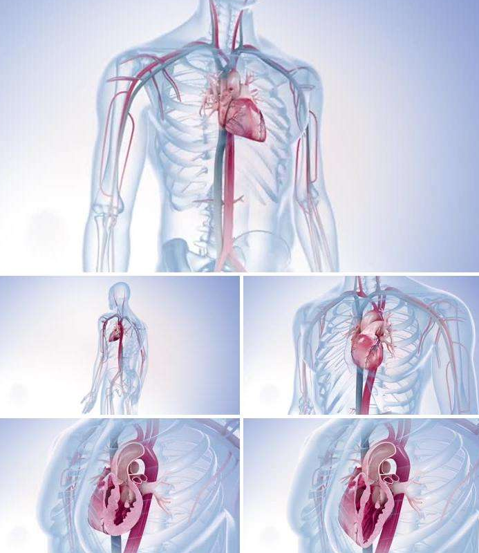 ���S�Ӯ�ҕ�l�������t(y��)���t(y��)�W�ИI(y��)�đ��÷�������Щ��{my:seotitle}