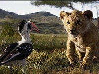 2019 ���S��{�����Ӯ��Ӱȫ��Ʊ����16�|��Ԫ�����Ӯ����g(sh��)��(bi��o)�U